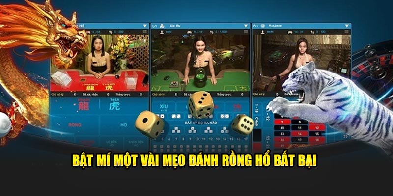 Bật mí một vài mẹo đánh rồng hổ bất bại